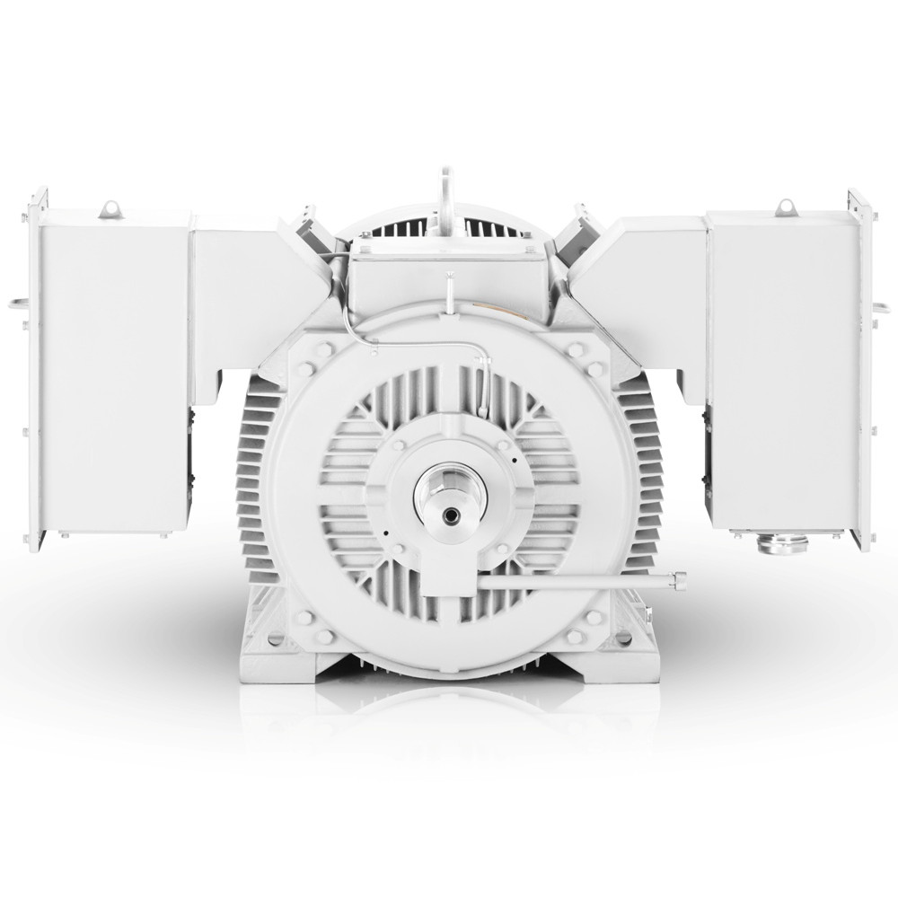 Motor electric de înaltă tensiune 315kW 1500 rpm, 6000V H17R Vânzări în România